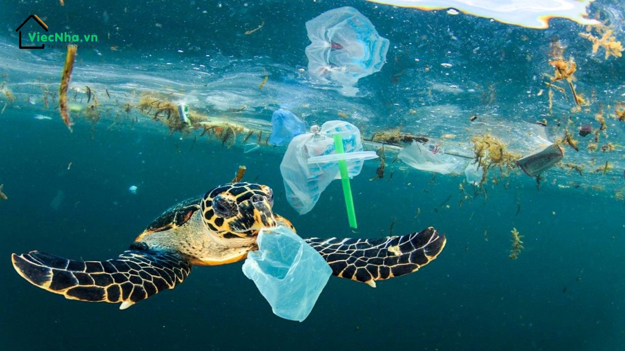 Ống hút nhựa đe doạ môi trường